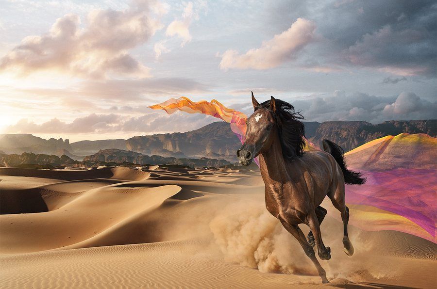 Commercial photography by Adam Browning-Hill